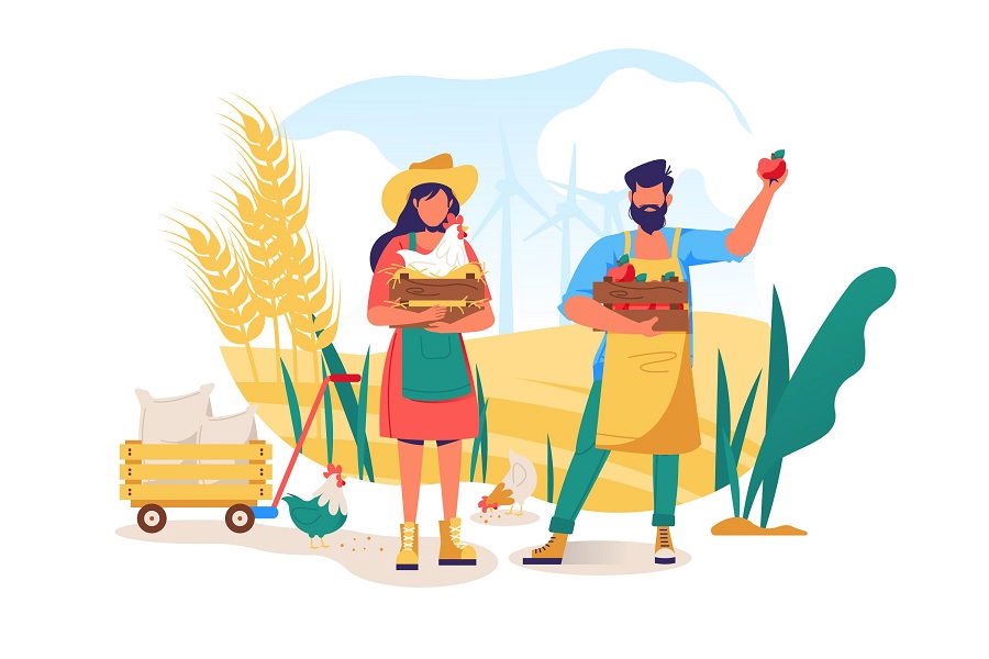 Master Chef Competition Visual